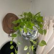 Disco Ball Flower Hanging Vase Online