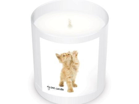 High Five Kitty Soy Wax Candle Discount