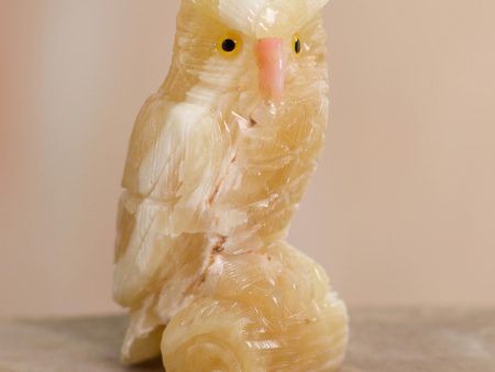 Calcite & Rose Quartz Owl Sculpture Fashion