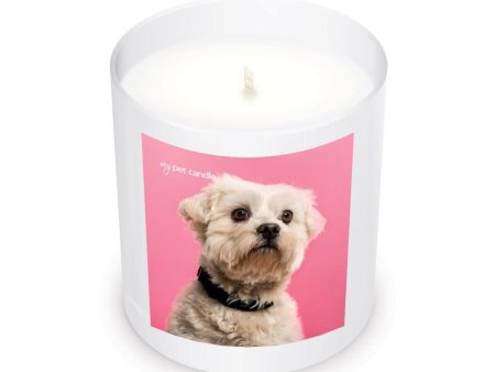 I Shih Tzu Not Soy Wax Candle For Cheap