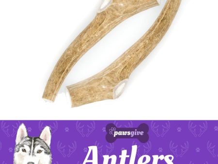 Grade  A  Naturally Shed Antler Chews for Dogs - 8  Large Antlers, 2 Pack Online now