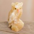 Calcite & Rose Quartz Owl Sculpture Fashion