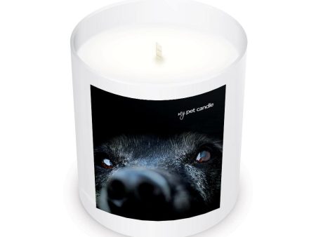 Lab Love Soy Wax Candle on Sale