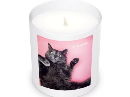 Selfie Cat Soy Wax Candle Online now